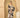 Desert Bloom Maxi Dress