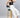 Side Zipper High Waist Wide Leg Culottes