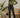 High Waist Flared Trouser